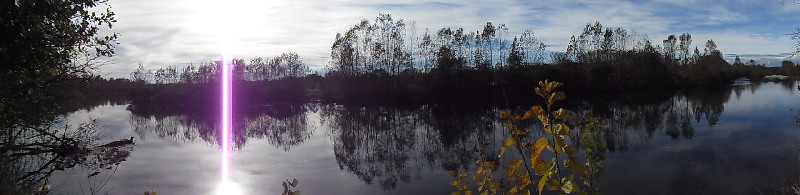 Parco del ticino 1.11.12